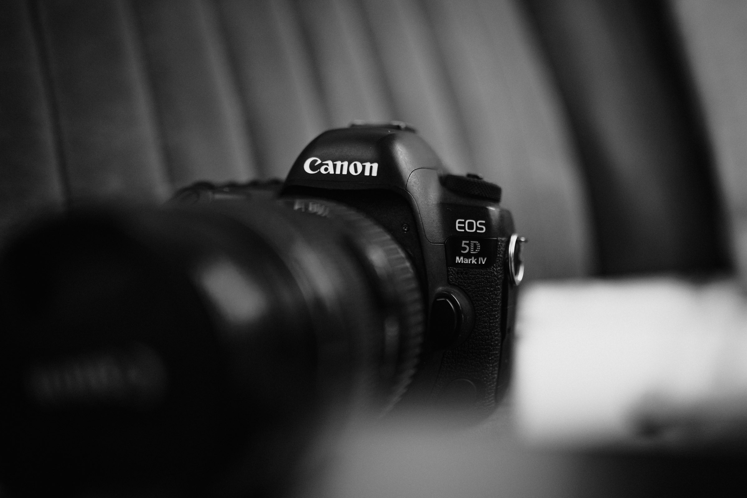 KFfoto-1654